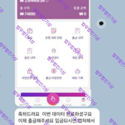 해외선물 FX마진 사설 프로그램 투자사기 구조